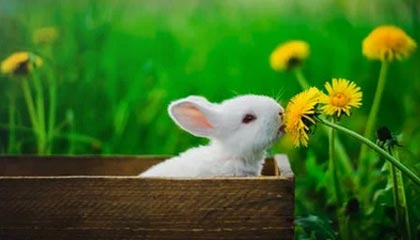 九游官网APP-阿拉维斯主场战平莱加内斯，难分胜负，阿拉维斯 vs 皇家马德里